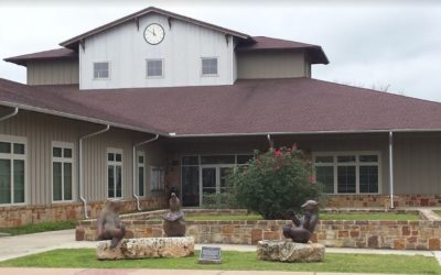 Diversity, Equity & Inclusion Committee – Bastrop City Council Meeting